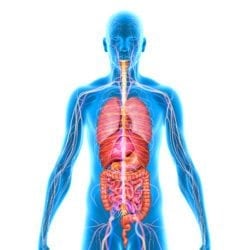 gum disease and overall health viera fl